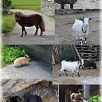 Landgasthof Poellauerhof 3*