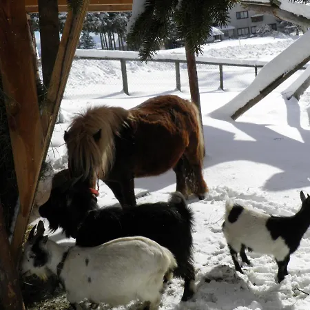 Landgasthof Poellauerhof Estalagem 3*
