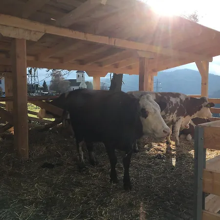 Landgasthof Poellauerhof 3* Neumarkt in Steiermark