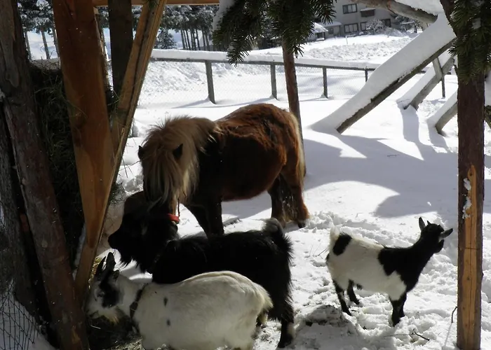 Landgasthof Poellauerhof 宾馆 3*