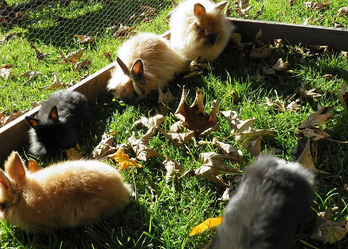 Landgasthof Poellauerhof Neumarkt in Steiermark