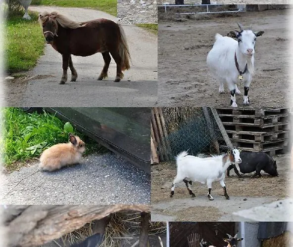 Landgasthof Poellauerhof 3*