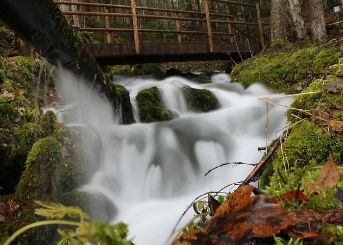 宾馆 Landgasthof Poellauerhof Neumarkt in Steiermark