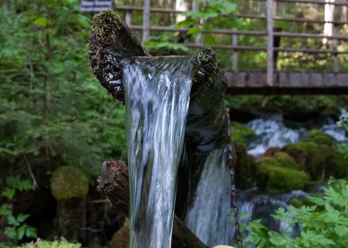 Landgasthof Poellauerhof 宾馆