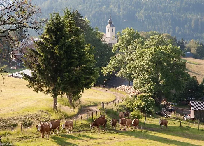 宾馆 Landgasthof Poellauerhof 3*