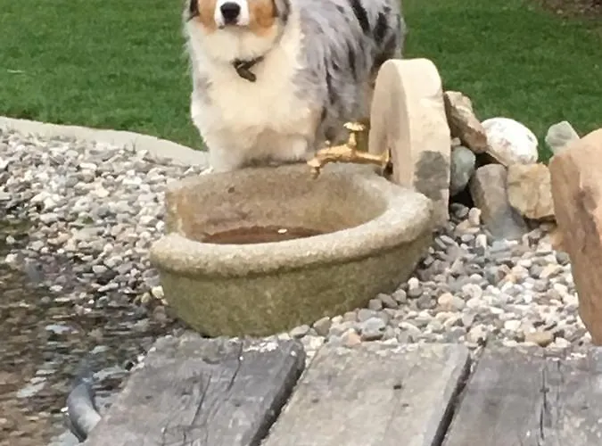 宾馆 Landgasthof Poellauerhof 3*