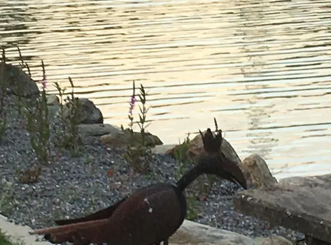 Landgasthof Poellauerhof 宾馆