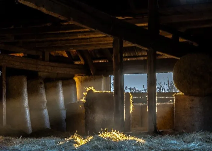 宾馆 Landgasthof Poellauerhof Neumarkt in Steiermark