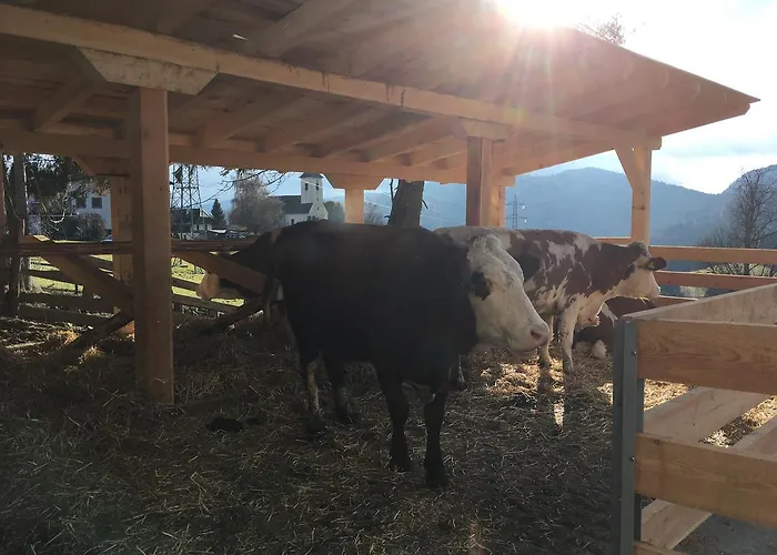 Landgasthof Poellauerhof 3* Neumarkt in Steiermark