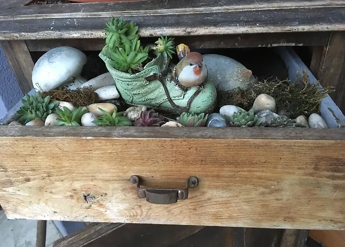 宾馆 Landgasthof Poellauerhof 3*